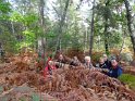 2012-10-11 16-37-03 Rando Fontainebleau-apres-midi DLe